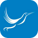 Fengniao Mobile VPN, 蜂鸟应用程序手机翻墙机场