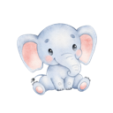 Daxiang Mobile VPN, 大象手机翻墙机场